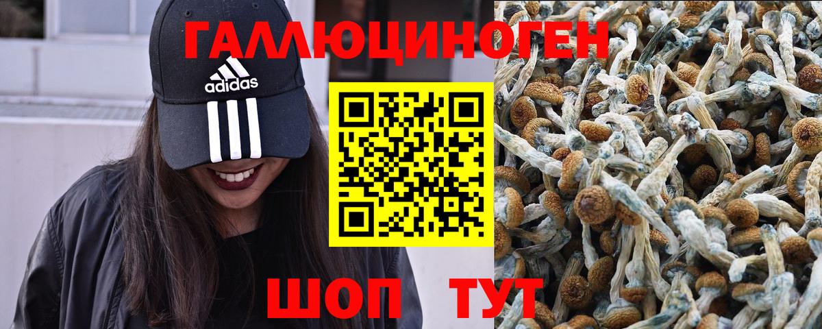 Петровск  Псилоцибиновые грибы Magic Shrooms  Вход с VPN 